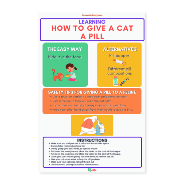 How To Give A Cat A Pill Poster-Posters-I love Veterinary