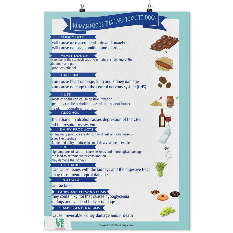Human Foods that are Toxic to Pets Poster-Posters-I love Veterinary