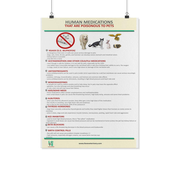 Educational Posters I Love Veterinary
