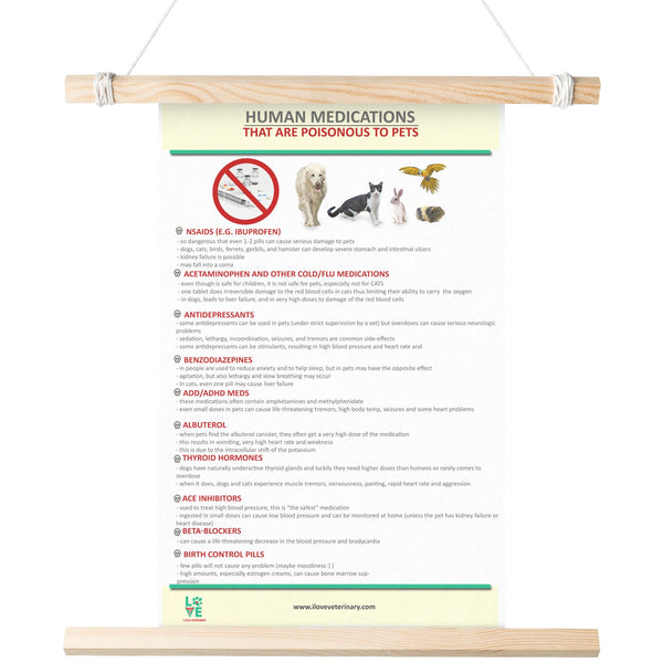 Human Medications that are Poisonous to Pets Poster-Posters-I love Veterinary