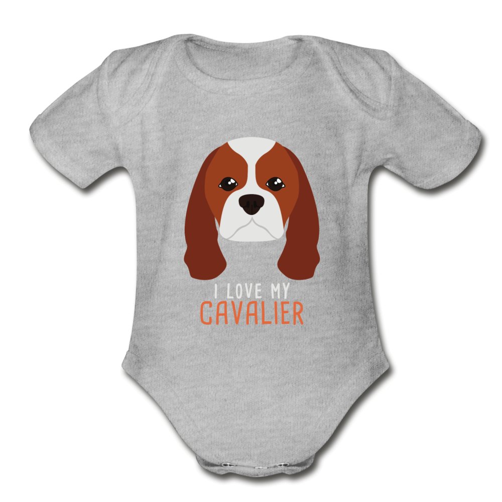 My cavalier best sale