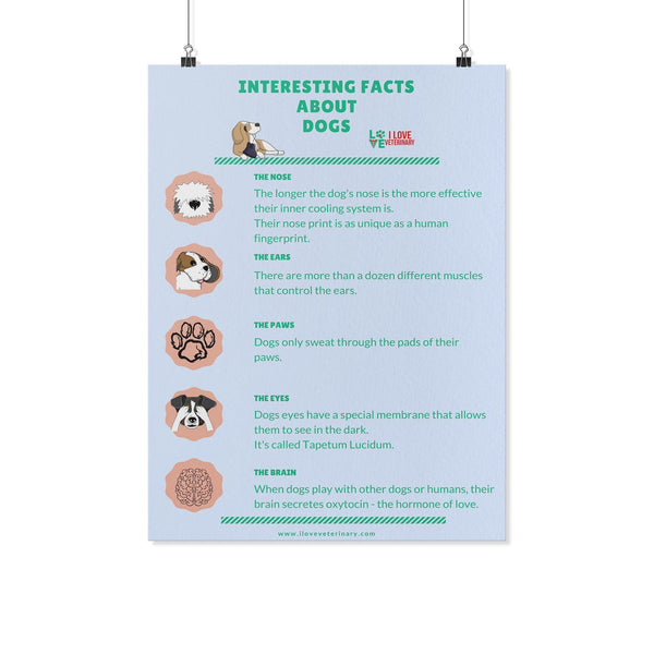 Interesting Facts about Dogs Poster I love Veterinary
