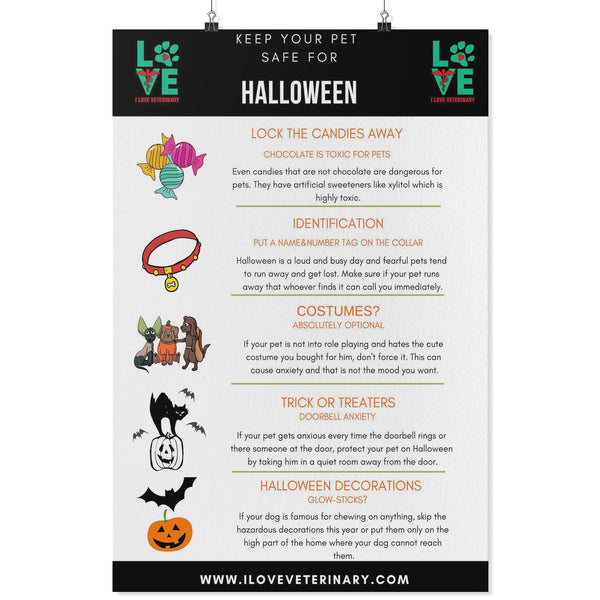 Keep your pet safe for Halloween Poster-Posters-I love Veterinary