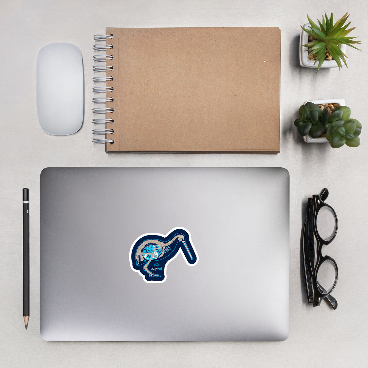 ezyVet Kiwi stickers