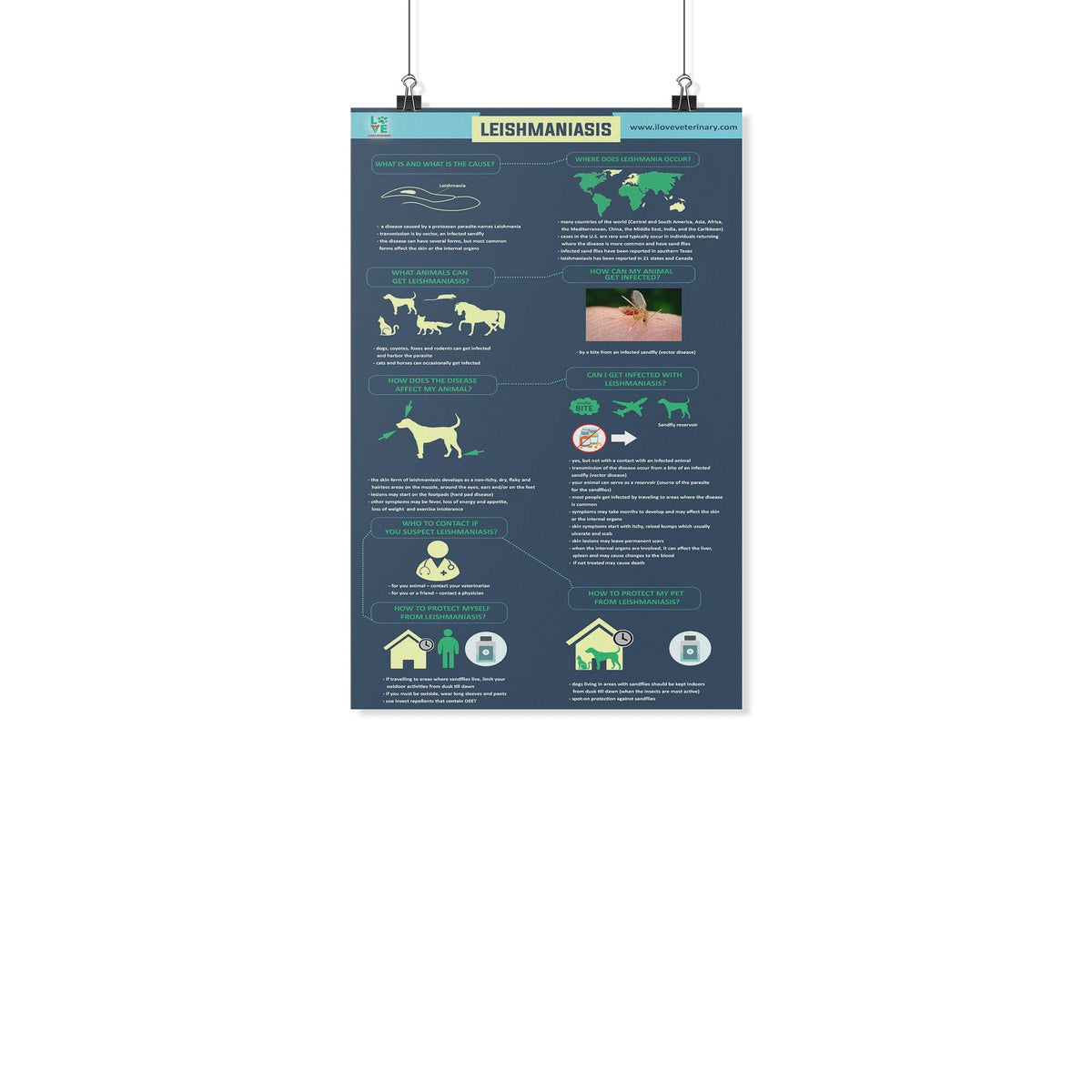 Leismaniasis - Poster-Posters-I love Veterinary