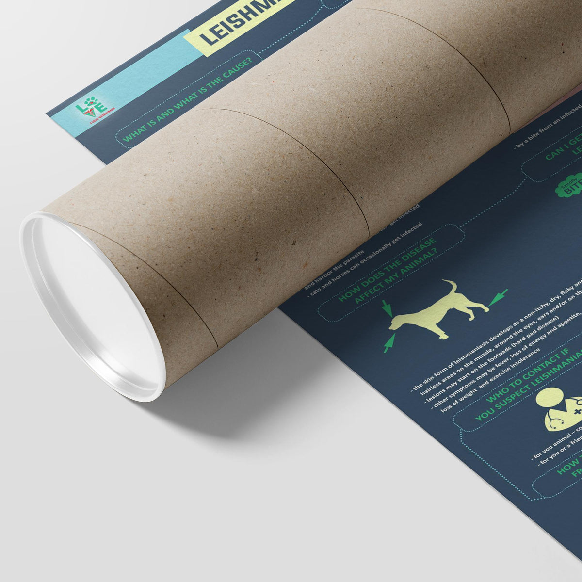 Leismaniasis - Poster-Posters-I love Veterinary