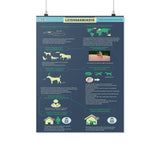 Leismaniasis - Poster-Posters-I love Veterinary