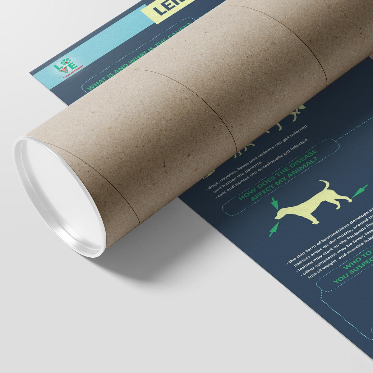 Leismaniasis - Poster-Posters-I love Veterinary