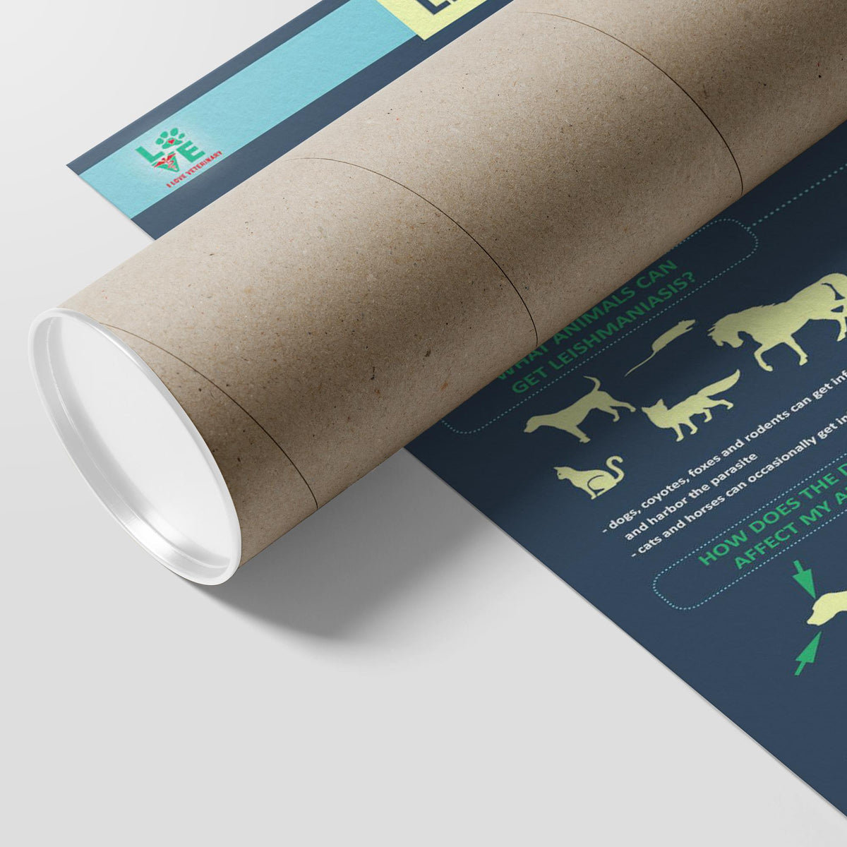 Leismaniasis - Poster-Posters-I love Veterinary