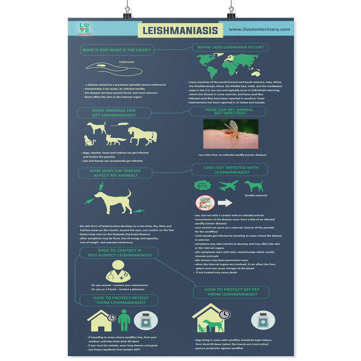 Leismaniasis - Poster-Posters-I love Veterinary