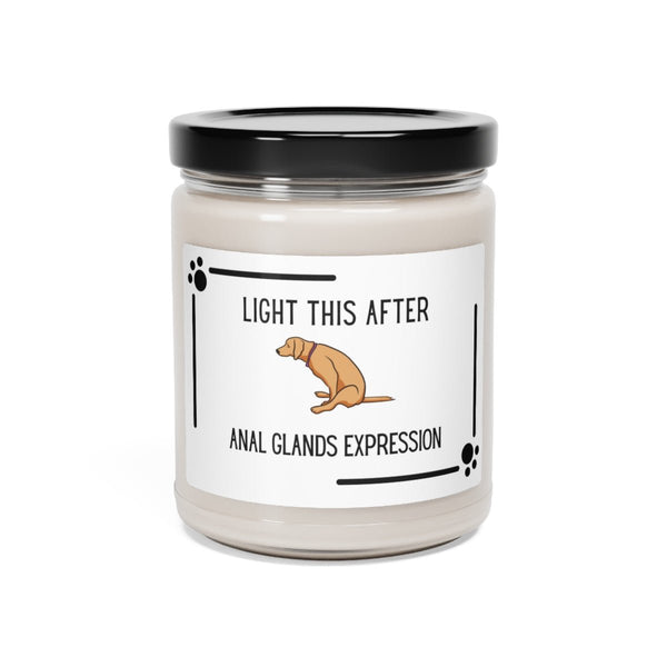 Light up after anal glands - Scented Soy Candle, 8oz-Candles-I love Veterinary