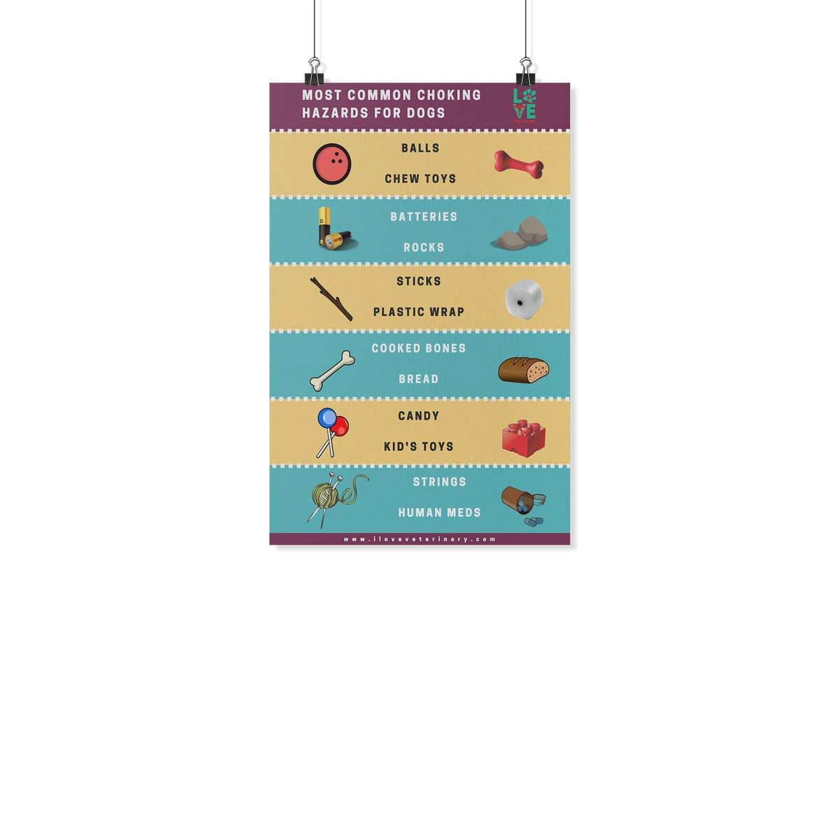 Most Common Choking hazards for dogs Poster-Posters-I love Veterinary