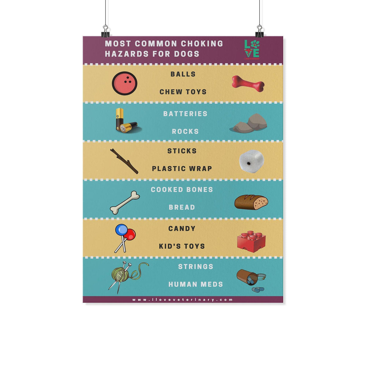 Most Common Choking hazards for dogs Poster-Posters-I love Veterinary