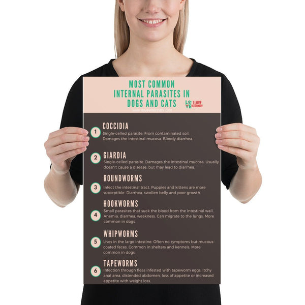 Most common internal parasites in dogs and cats Poster-Posters-I love Veterinary