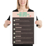 Most common internal parasites in dogs and cats Poster-Posters-I love Veterinary