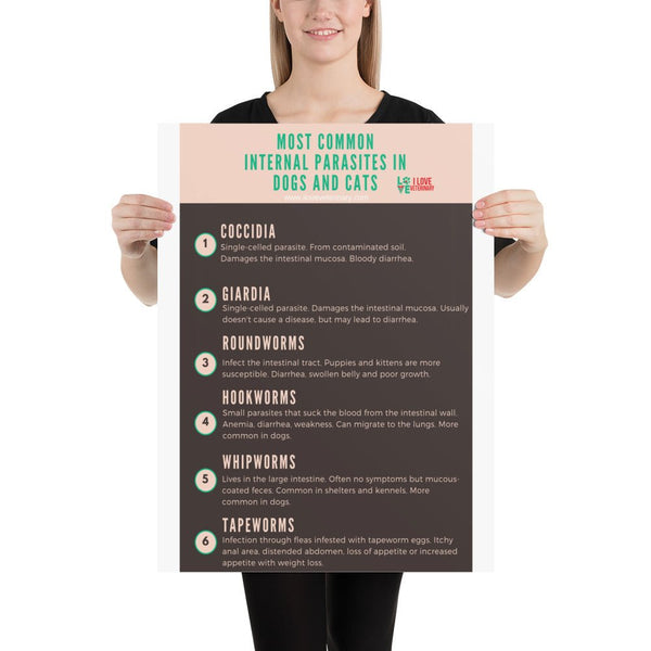 Most common internal parasites in dogs and cats Poster-Posters-I love Veterinary