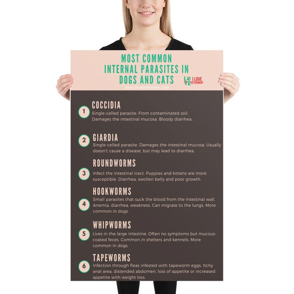 Most common internal parasites in dogs and cats Poster-Posters-I love Veterinary