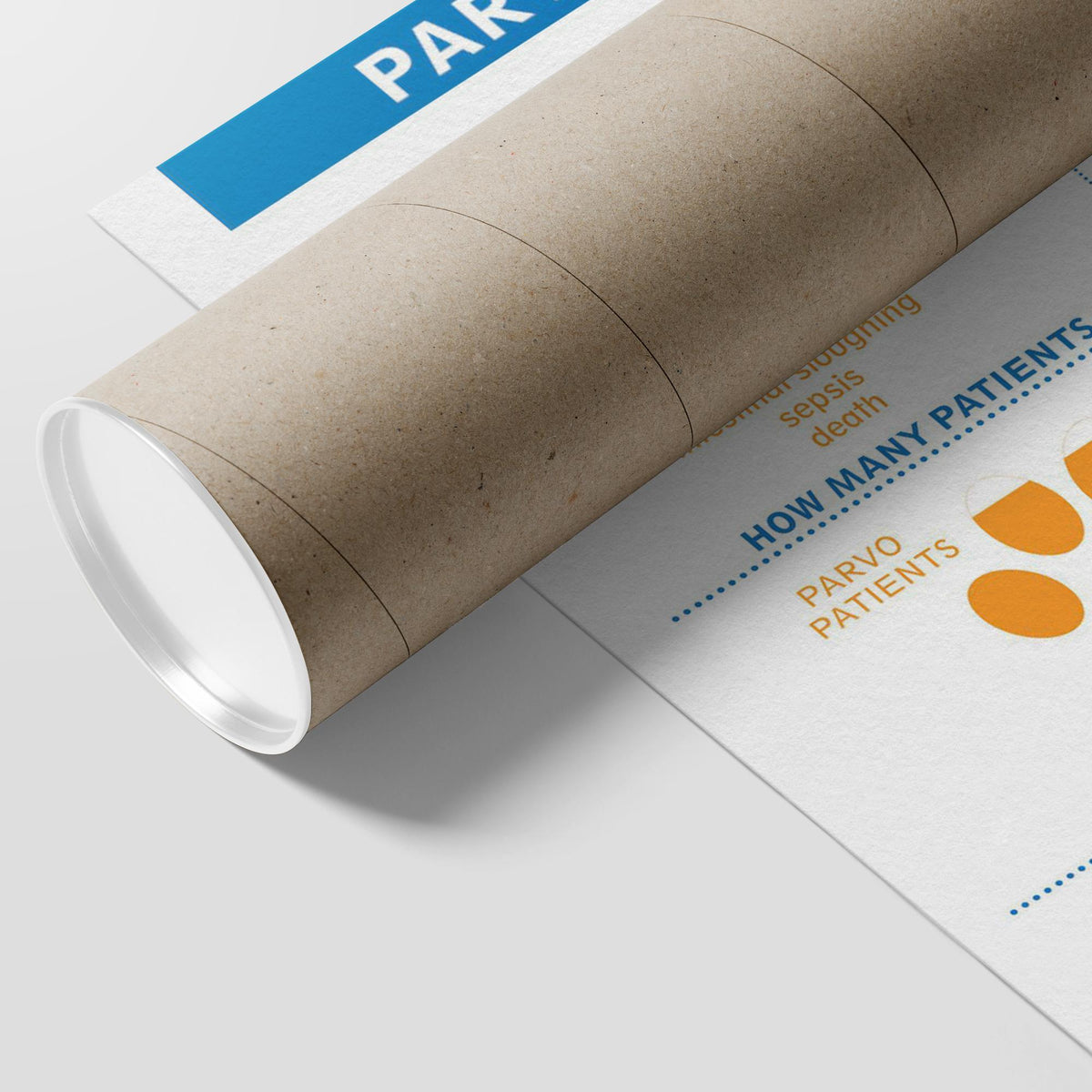 Parvo vs. Vaccine Poster-Posters-I love Veterinary