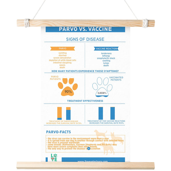Parvo vs. Vaccine Poster-Posters-I love Veterinary