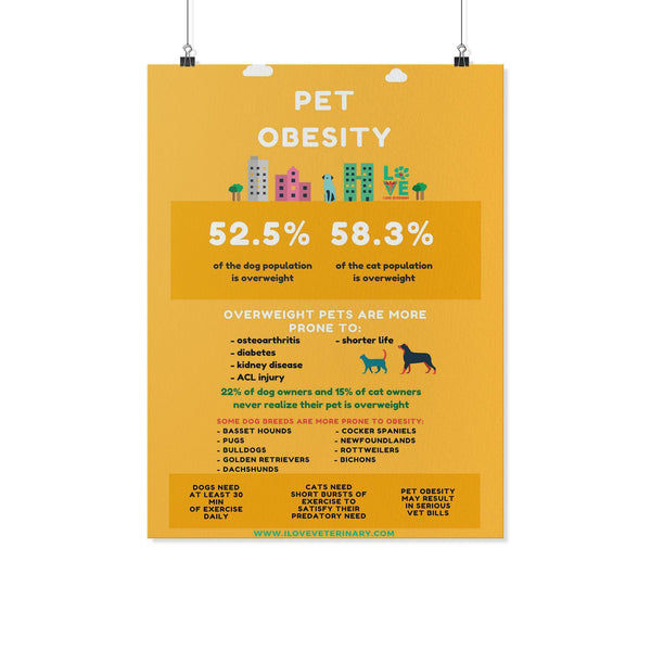 Pet Obesity Poster-Posters-I love Veterinary