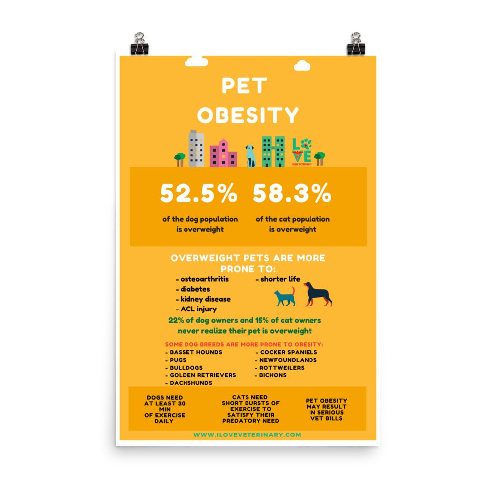 Pet Obesity Poster-Posters-I love Veterinary