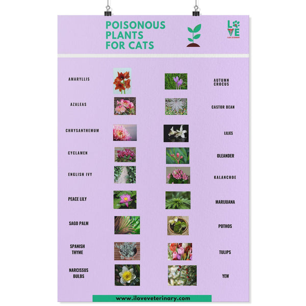 Poisonous Plants for Cats Poster-Posters-I love Veterinary