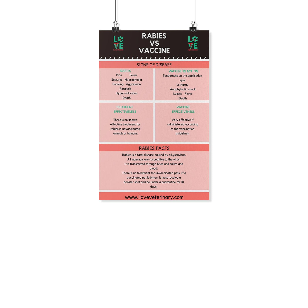 Rabies vs. Vaccine Poster-Posters-I love Veterinary