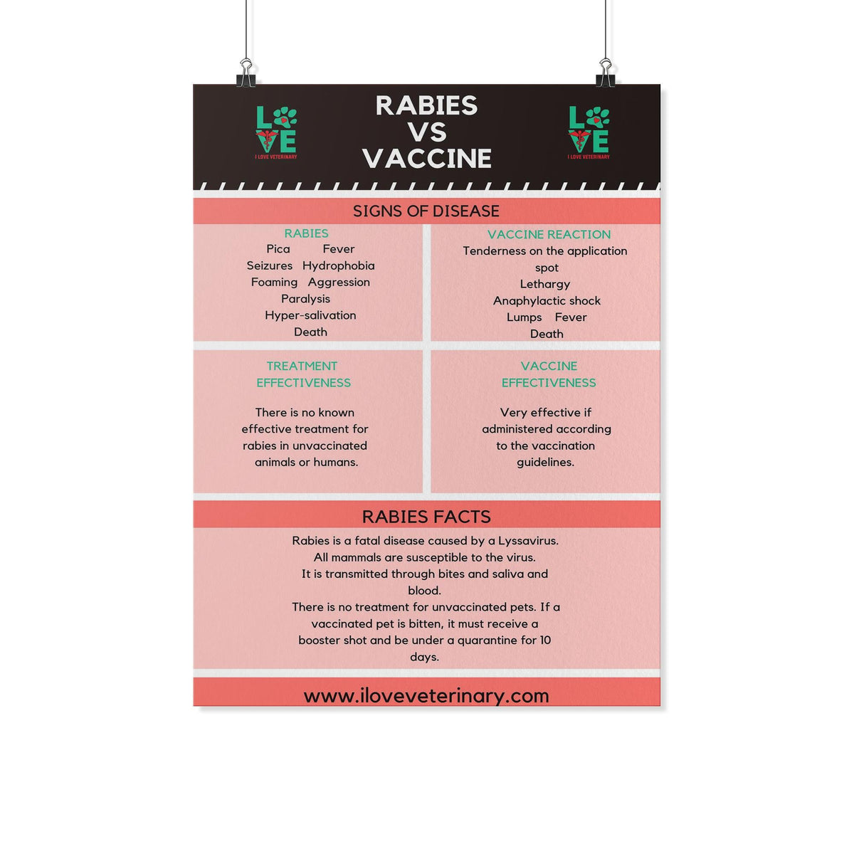 Rabies vs. Vaccine Poster-Posters-I love Veterinary