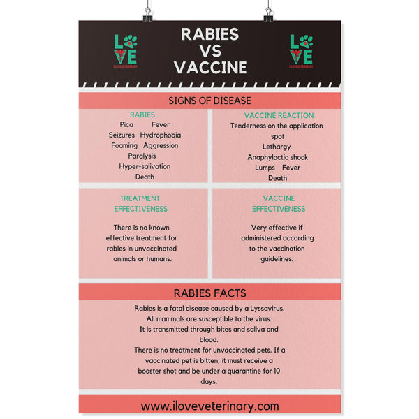 Rabies vs. Vaccine Poster-Posters-I love Veterinary
