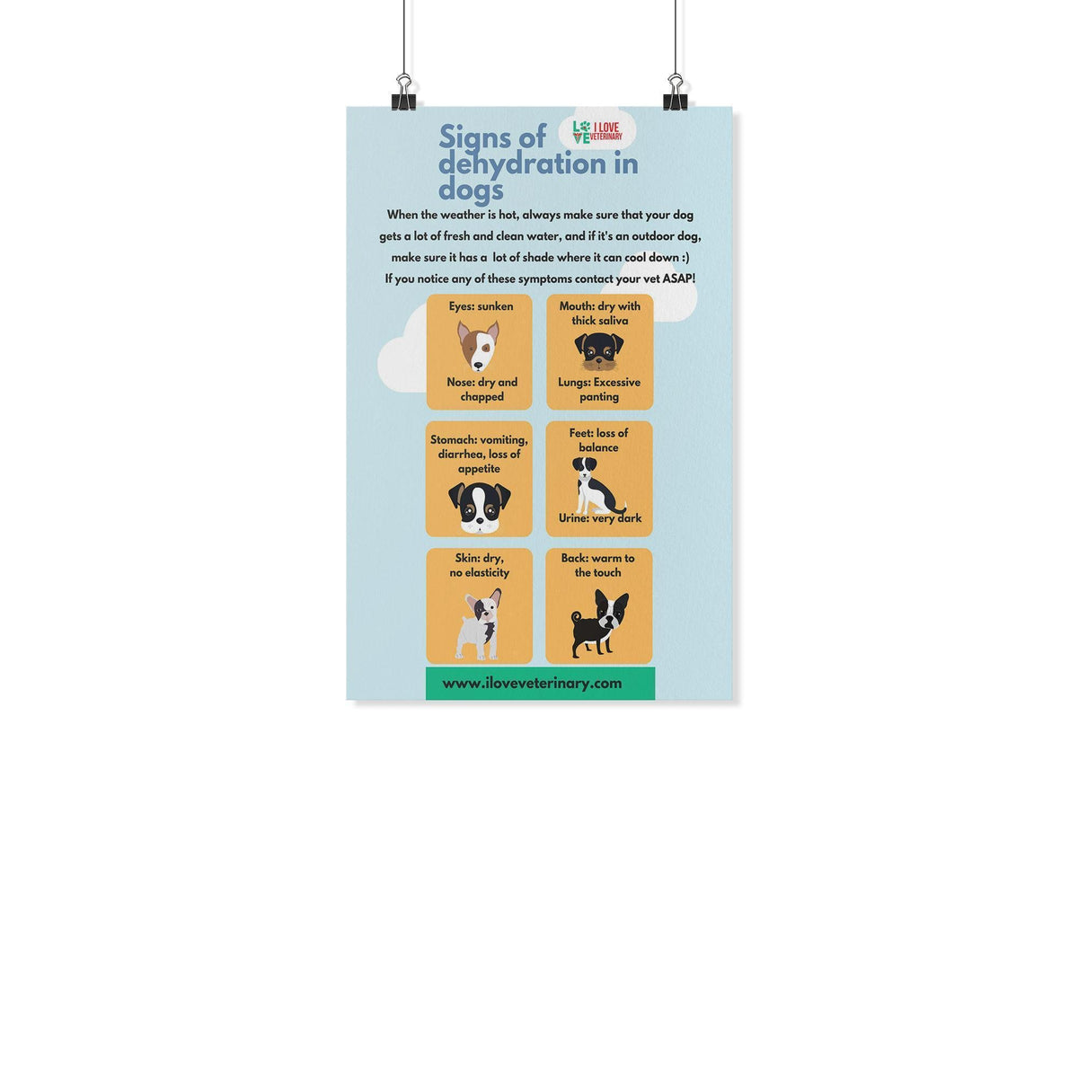 Signs of Dehydration in Dogs Poster-Posters-I love Veterinary