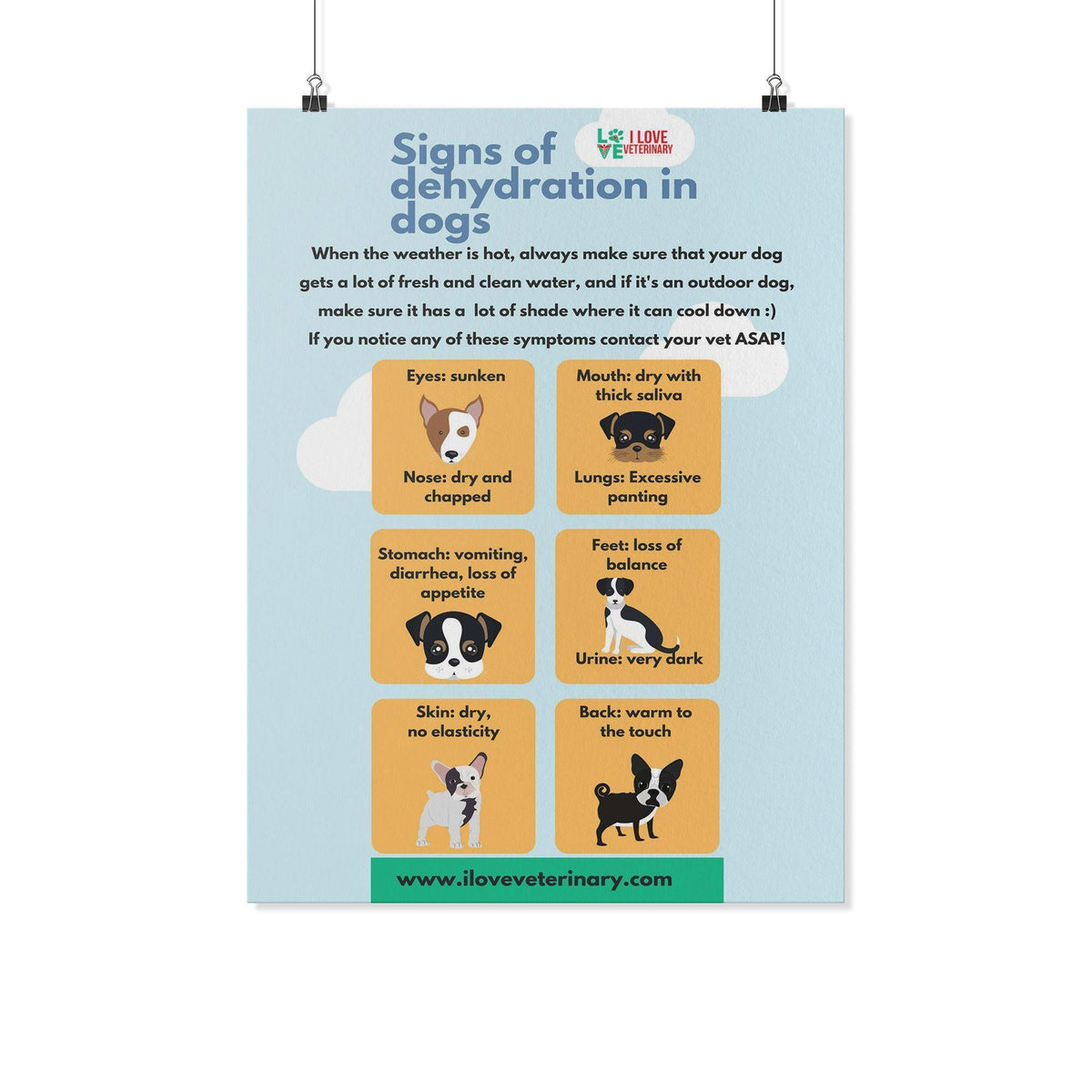 Signs of Dehydration in Dogs Poster-Posters-I love Veterinary