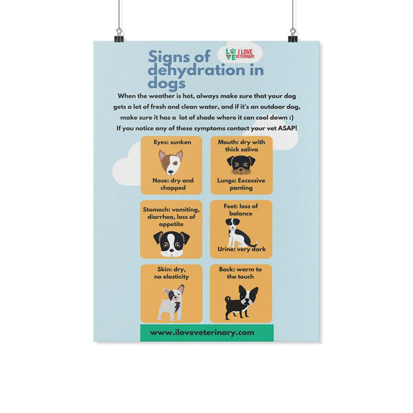 Signs of Dehydration in Dogs Poster-Posters-I love Veterinary