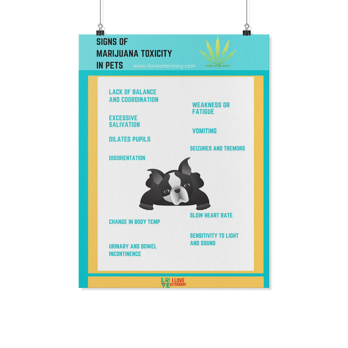 Signs of Marijuana Toxicity in Pets Poster-Posters-I love Veterinary