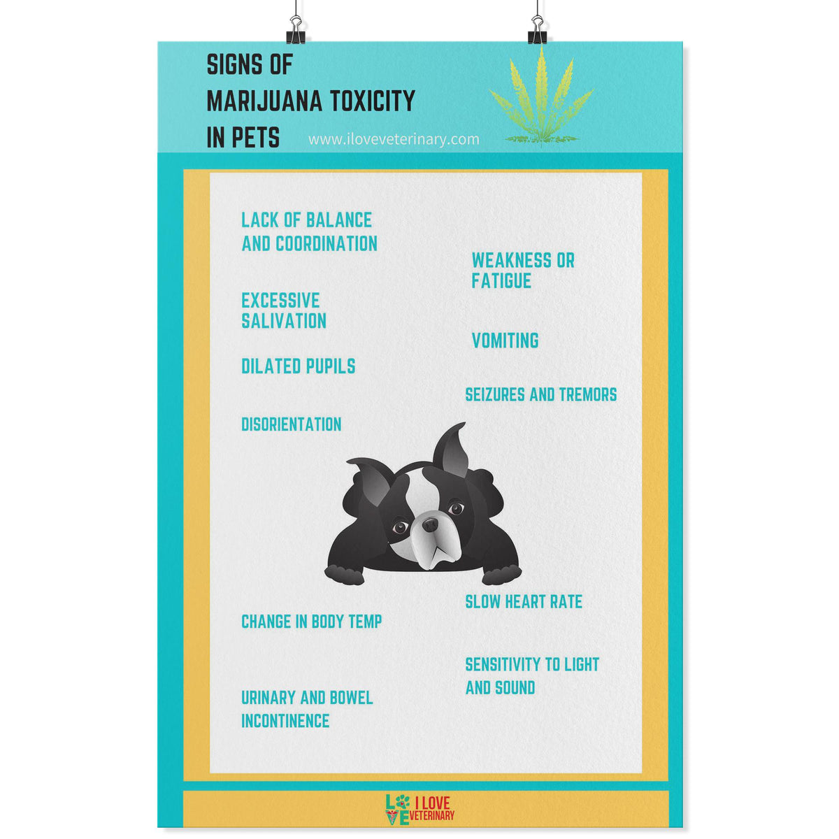 Signs of Marijuana Toxicity in Pets Poster-Posters-I love Veterinary