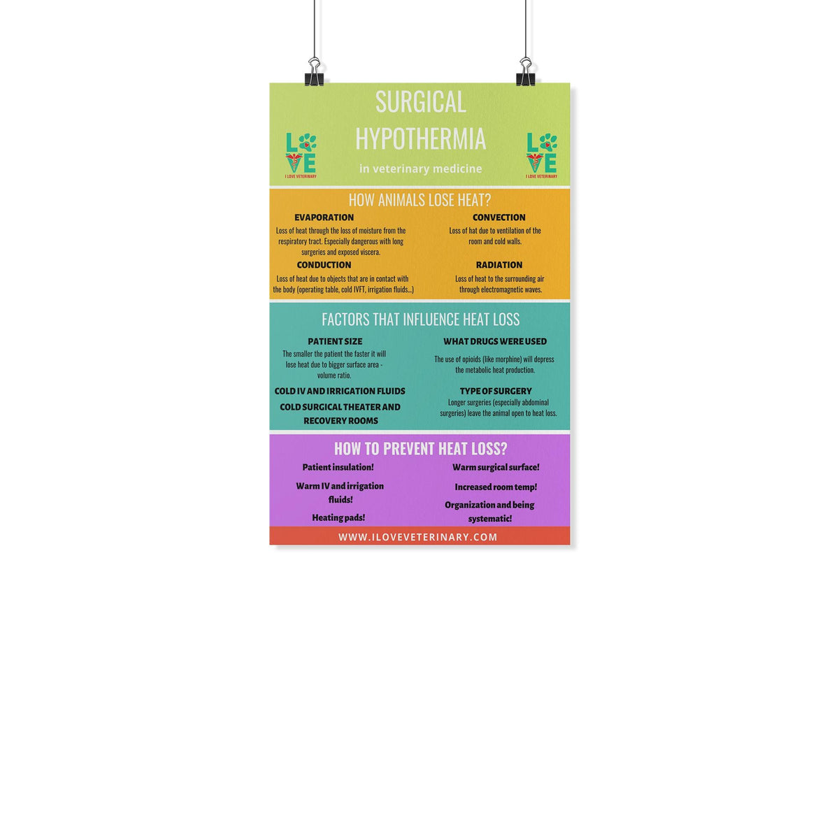 Surgical Hypothermia Poster-Posters-I love Veterinary