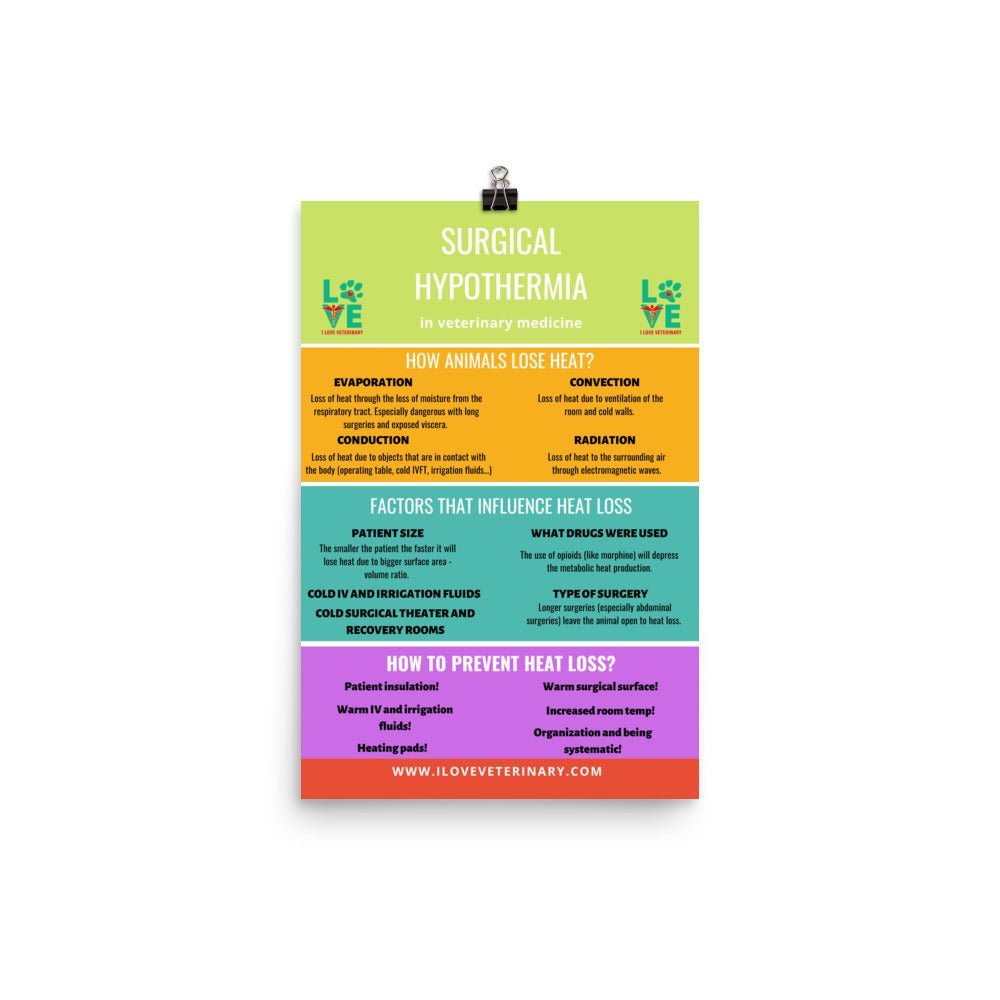 Surgical Hypothermia Poster-Posters-I love Veterinary