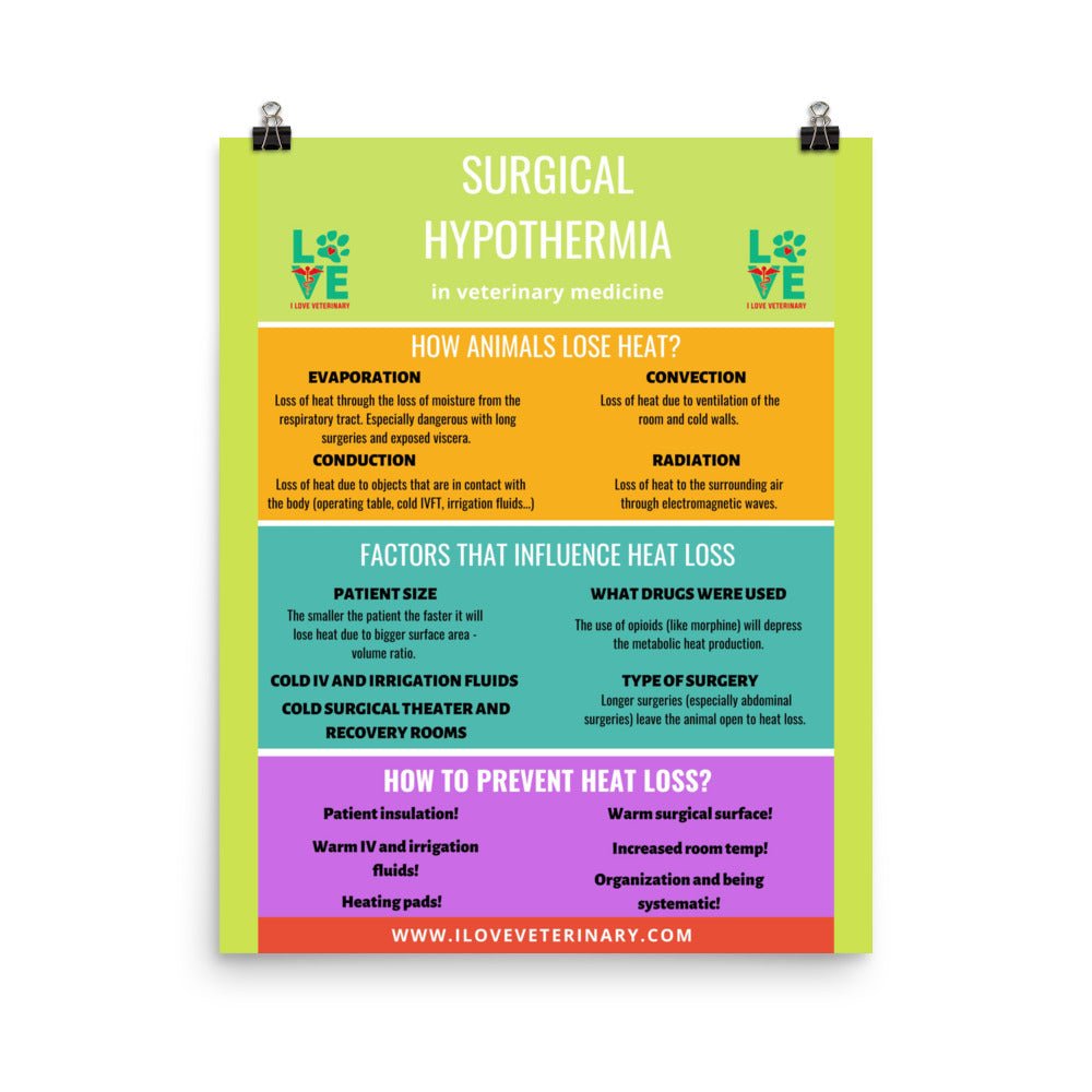 Surgical Hypothermia Poster-Posters-I love Veterinary