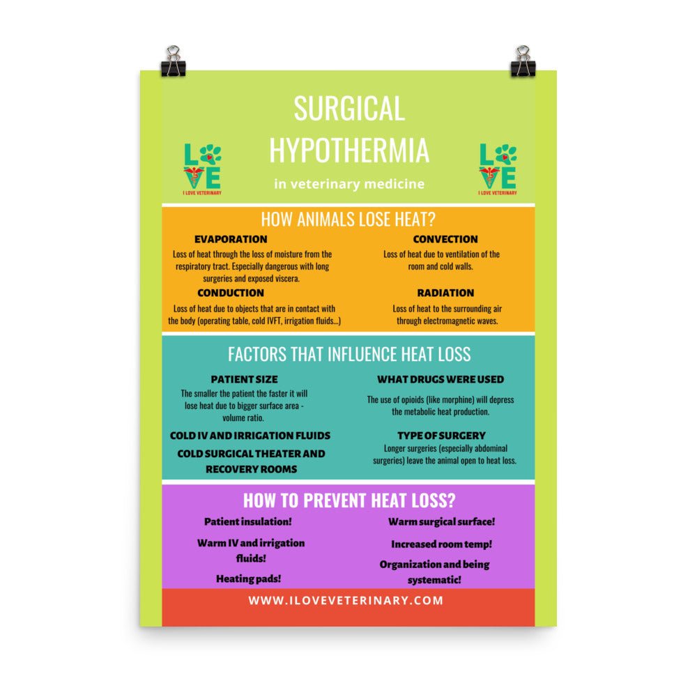 Surgical Hypothermia Poster-Posters-I love Veterinary