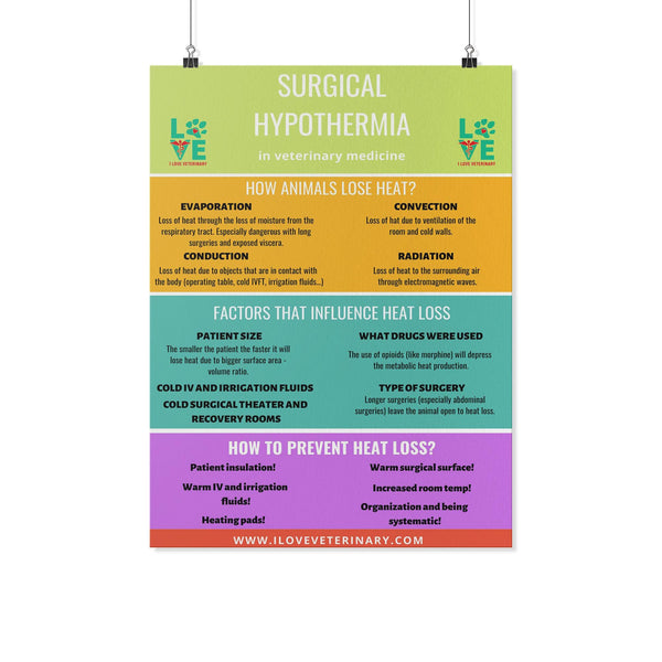 Surgical Hypothermia Poster-Posters-I love Veterinary