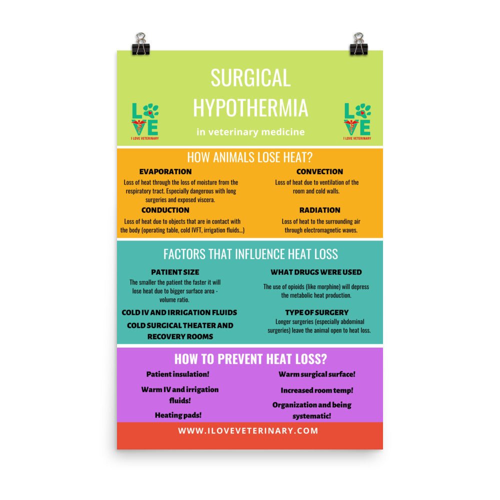 Surgical Hypothermia Poster-Posters-I love Veterinary