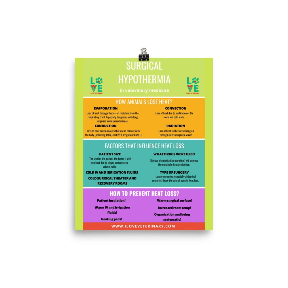 Surgical Hypothermia Poster-Posters-I love Veterinary