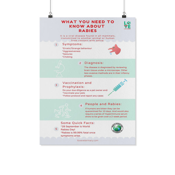 What you need to know about Rabies Poster-Posters-I love Veterinary