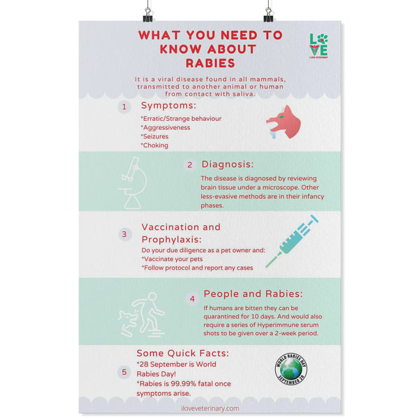 What you need to know about Rabies Poster-Posters-I love Veterinary