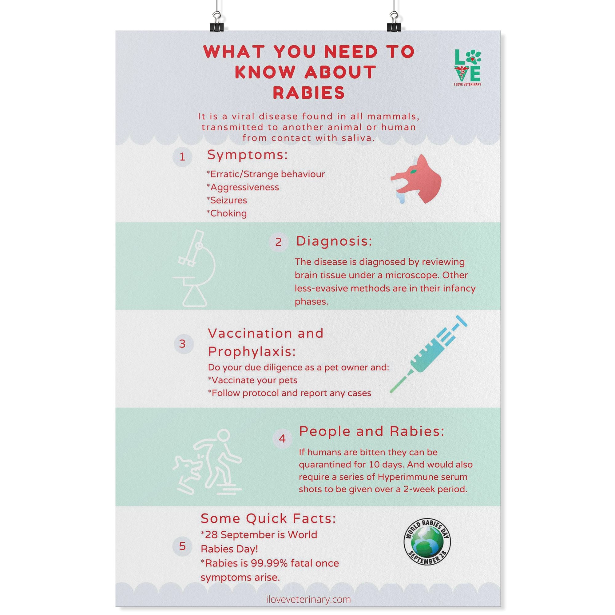 What you need to know about Rabies Poster – I love Veterinary